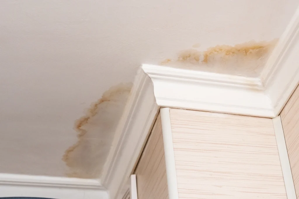 water marks stain the ceiling inside if there is a bad roof leak