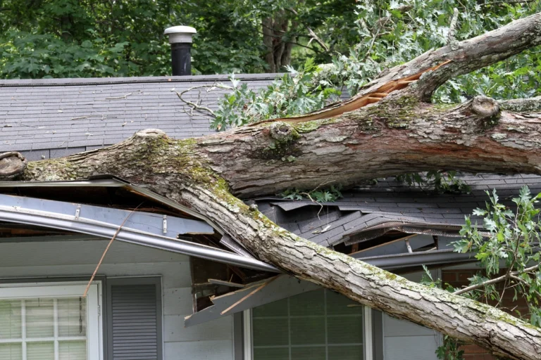 storm damage-impact