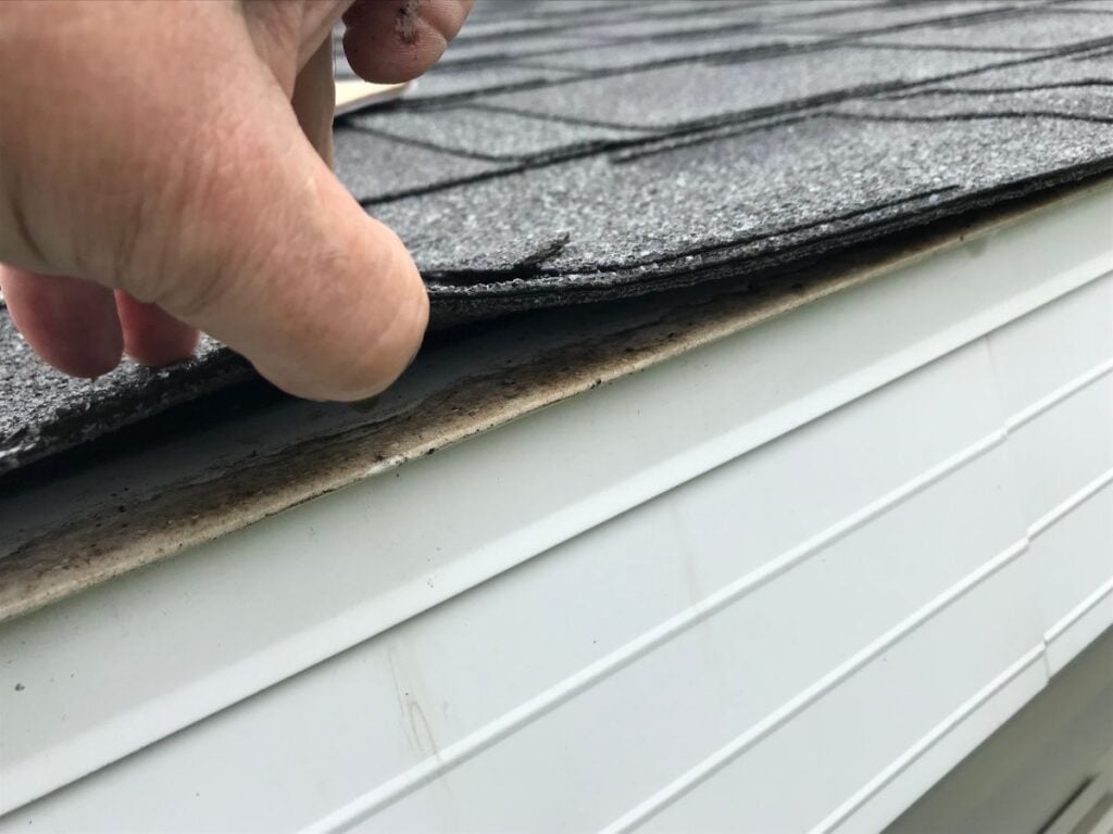 Roof Shingle Hail Damage