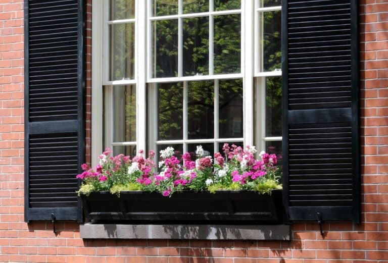 black and white double-hung windows window with flowers decoration