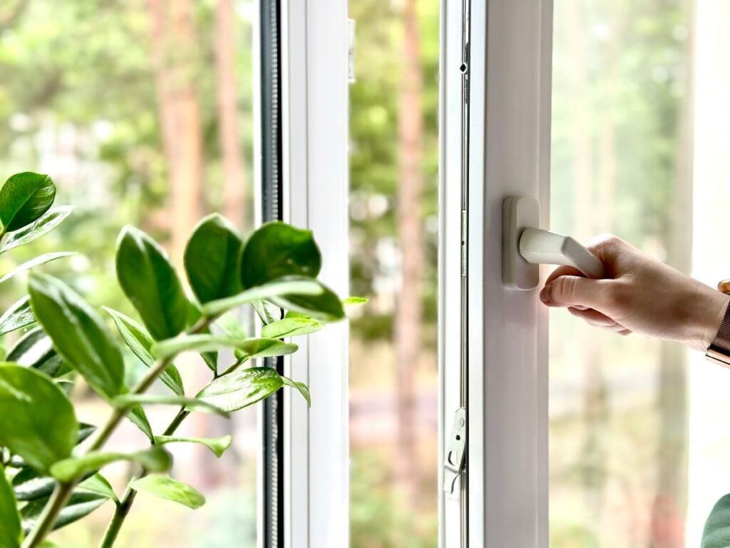 a hand opening a window with a plant next to it