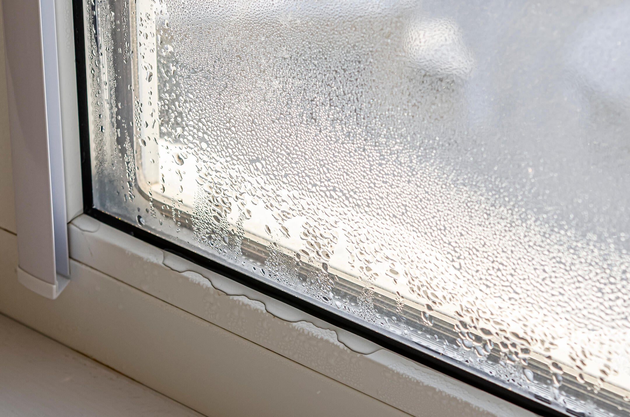 Drops of condensation on a metal-plastic window